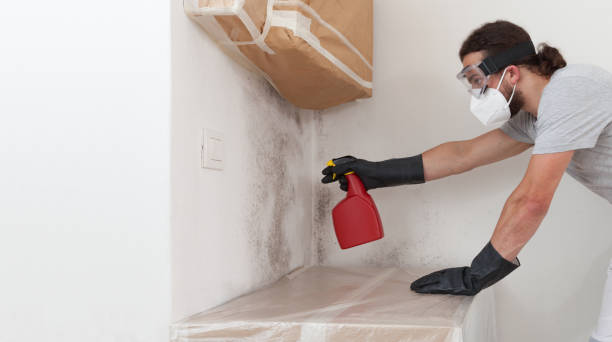 Professional Bathroom Mold Removal technician working in South Mills, NC